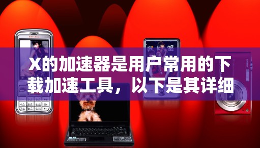 X的加速器是用户常用的下载加速工具，以下是其详细的信息
