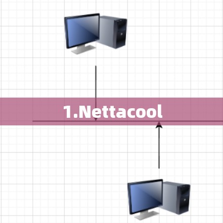 1.Nettacool