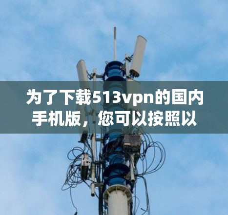 为了下载513vpn的国内手机版,您可以按照以下步骤进行 为了下载513vpn的国内手机版,您可以按照以下步骤进行