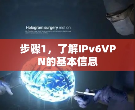 步骤1，了解IPv6VPN的基本信息