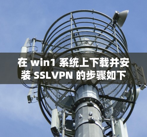 在 win1 系统上下载并安装 SSLVPN 的步骤如下