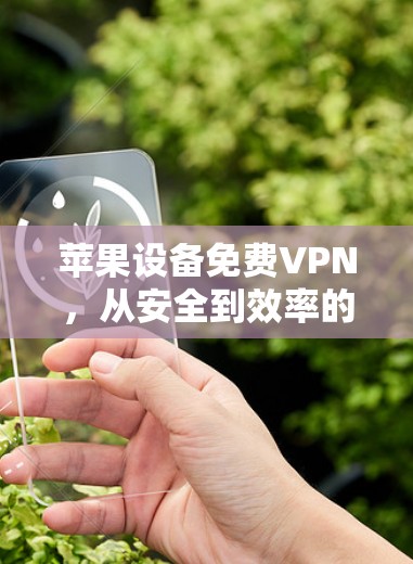 苹果设备免费VPN，从安全到效率的智慧选择