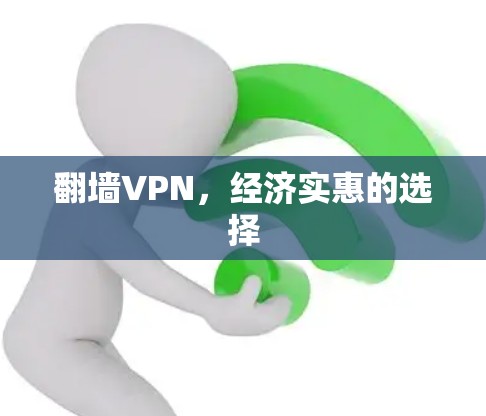 翻墙VPN,经济实惠的选择