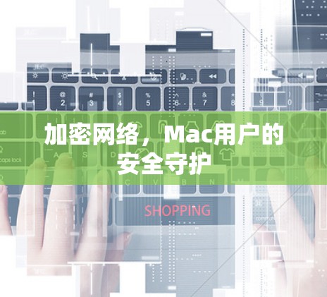 加密网络,Mac用户的安全守护