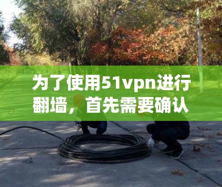 为了使用51vpn进行翻墙,首先需要确认你的网络是否允许下载和使用该软件。如果你的网络受到限制,建议避免下载,转而使用其他安全可靠的网络服务。以下是详细的步骤建议
