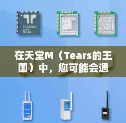 在天堂M（Tears的王国）中，您可能会遇到VPN的使用需求。以下是关于如何在天堂M中使用VPN的一些关键点