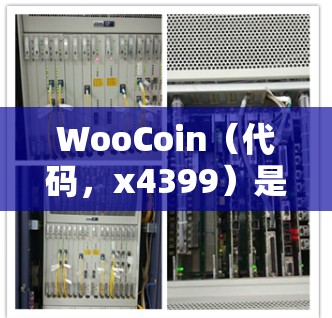 WooCoin(代码,x4399)是一个以太坊的自由加密货币,提供了一种免费的使用方式,通过购买WooCard在WooCoin上进行交易,用户会自动获得奖励。以下是对WooCoin的详细介绍 WooCoin(代码,x4399)是一个以太坊的自由加密货币,提供了一种免费的使用方式,通过购买WooCard在WooCoin上进行交易,用户会自动获得奖励。以下是对WooCoin的详细介绍