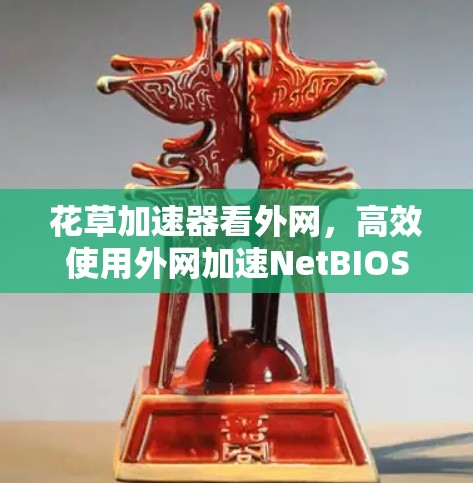 花草加速器看外网,高效使用外网加速NetBIOS
