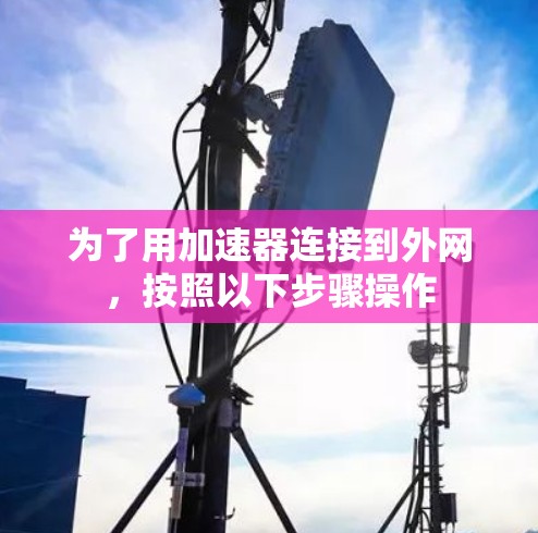 为了用加速器连接到外网，按照以下步骤操作